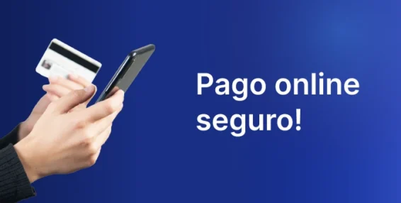 Pago online seguro